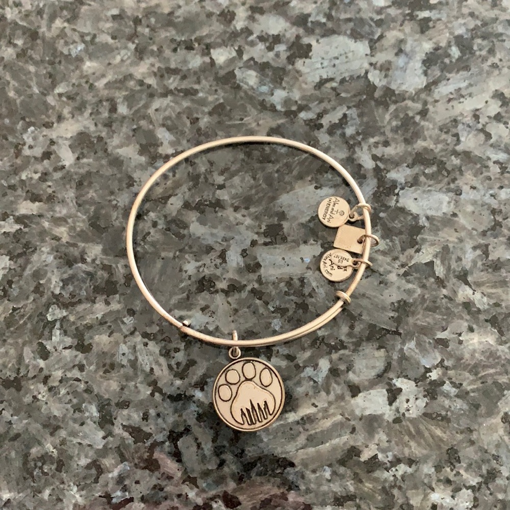 Alex and Ani bracelet